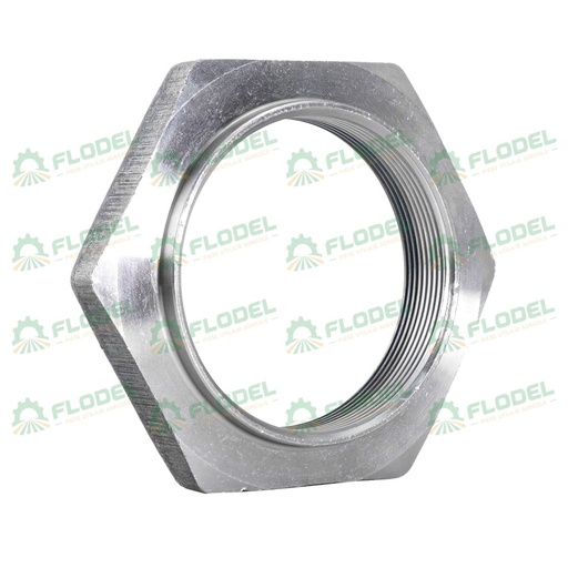 [FLO02912] Piulita 5142020