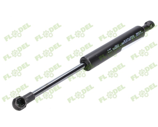 [FLO02925] Telescop 250mm