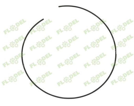 [FLO02945] Inel 5151438