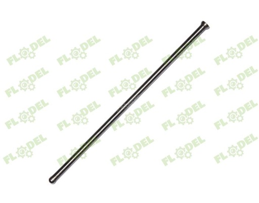 [FLO02966] Tija 21184963