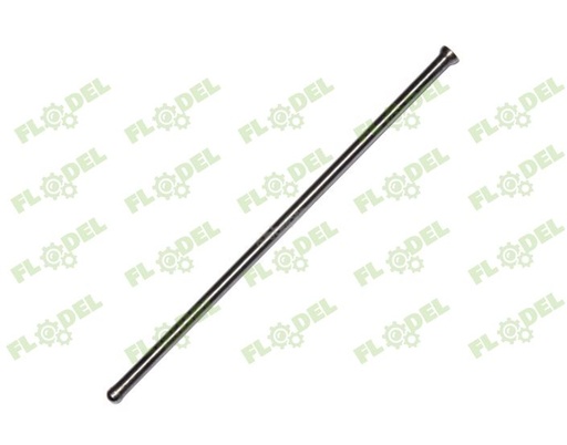 [FLO02966] Tija 21184963