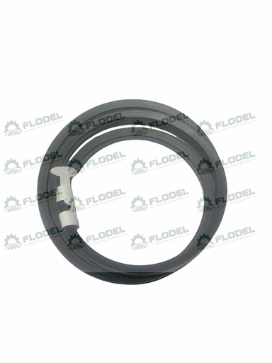 [FLO03133] Curea combina CLAAS 644781 GATES