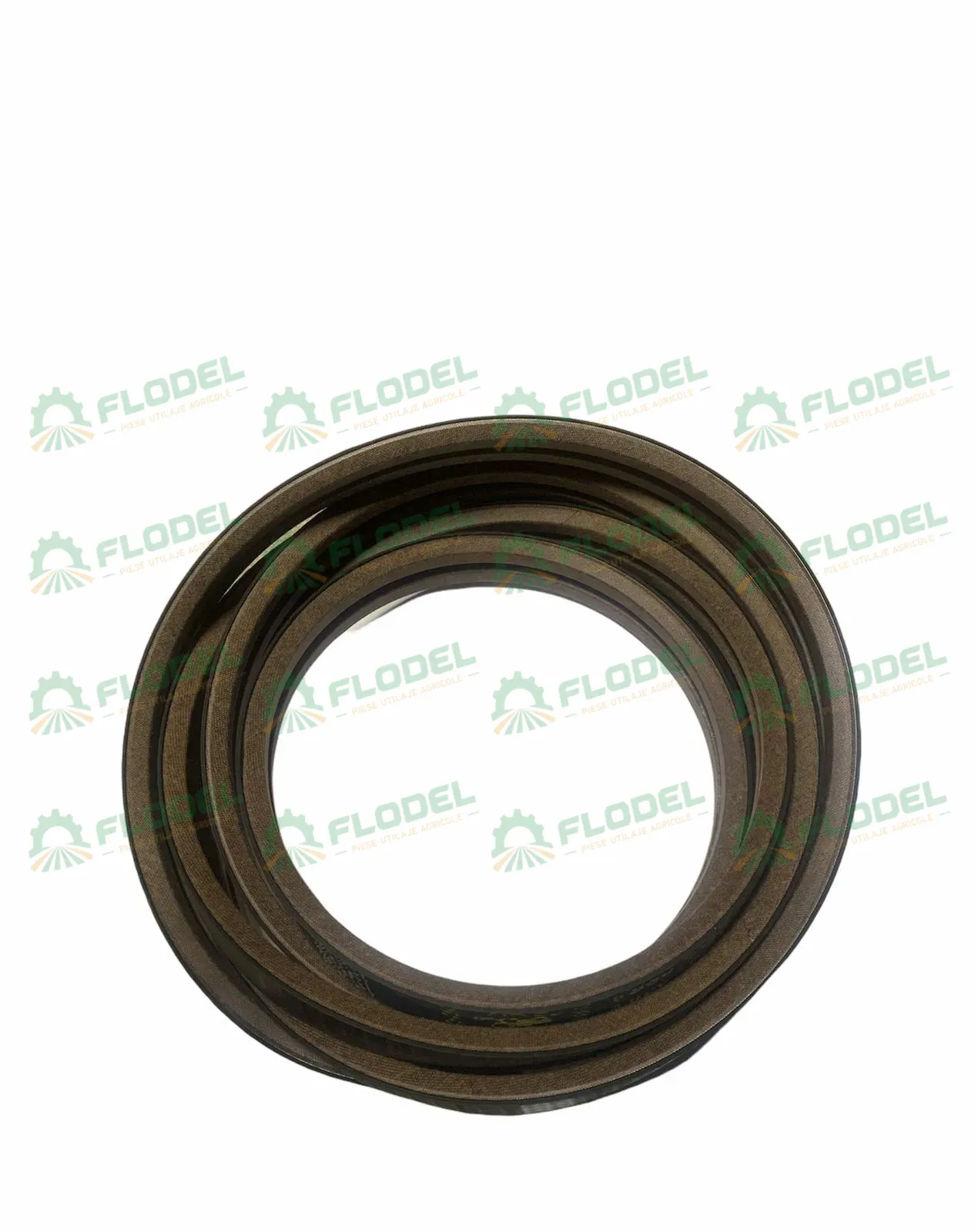 [FLO03137] Curea 2HB combina CLAAS 628888 GATES