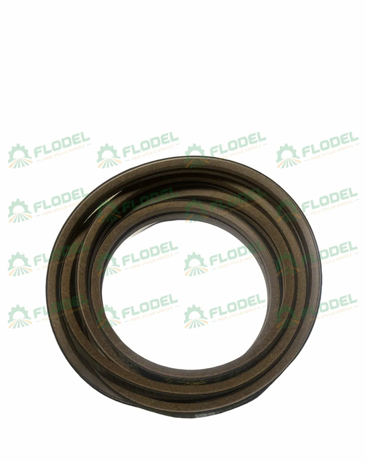 [FLO03137] Curea 2HB combina CLAAS 628888 GATES