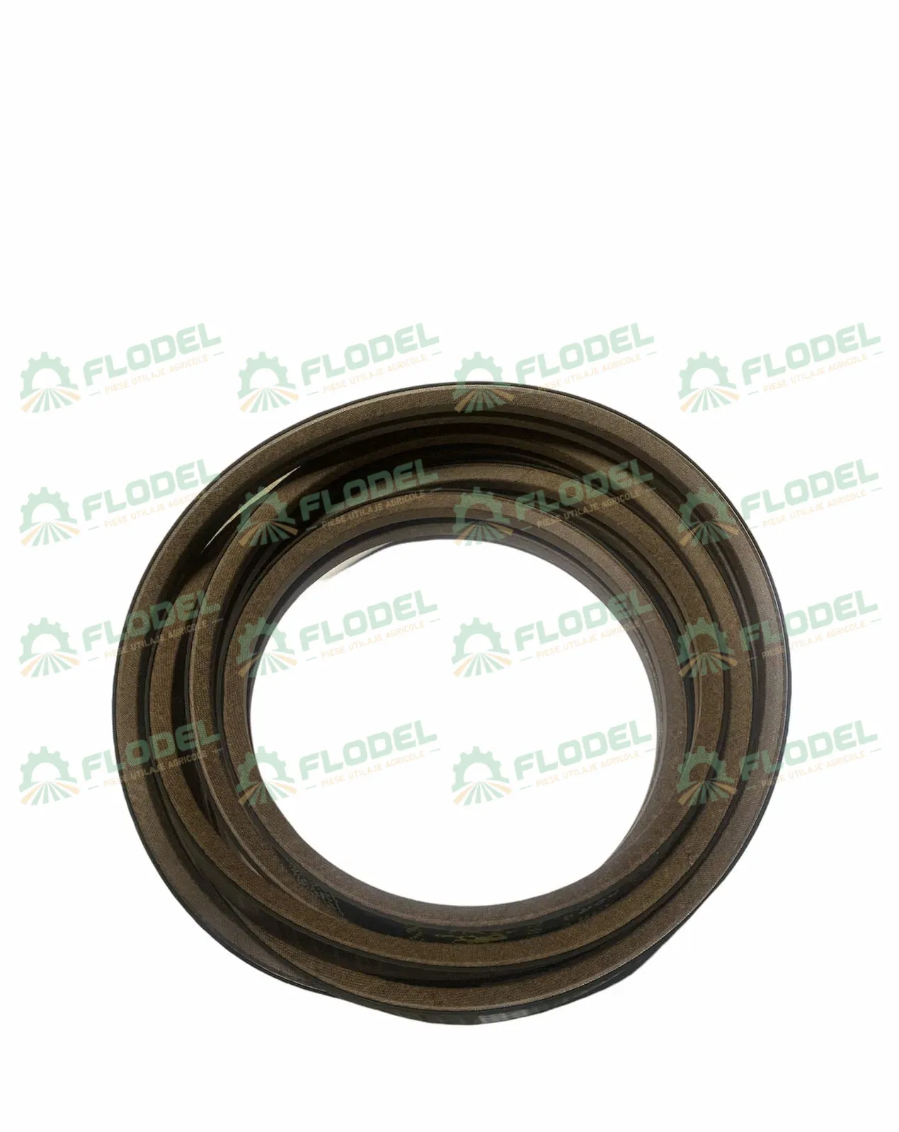 [FLO03137] Curea 2HB combina CLAAS 628888 GATES