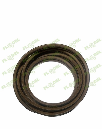 [FLO03137] Curea 2HB combina CLAAS 628888 GATES