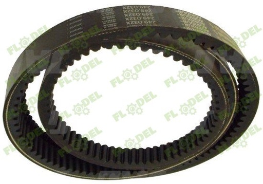 [FLO03145] Curea combina CLAAS 667457 GATES