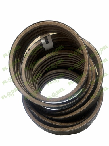 [FLO03153] Curea combina CLAAS 4HB 549099 GATES