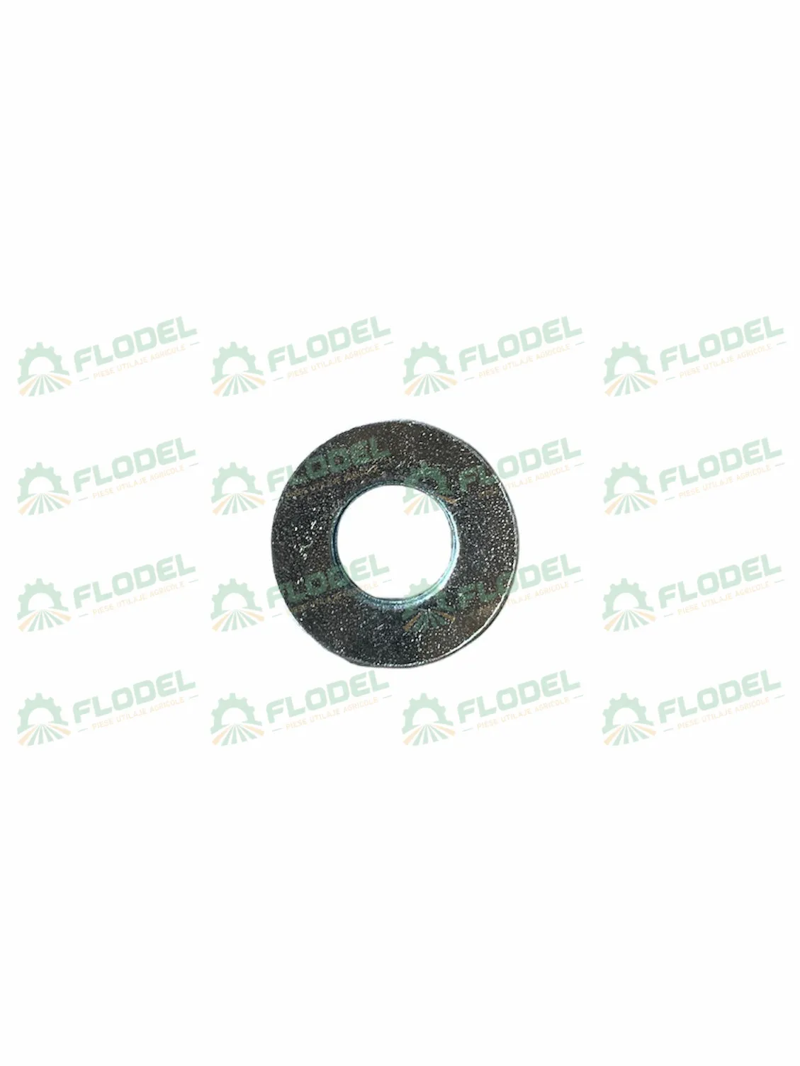 [FLO03280] Saiba M10 