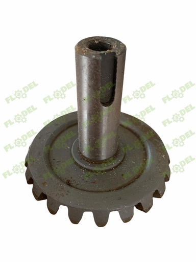 [FLO03343] Pinion Z21 culegator porumb FANTINI