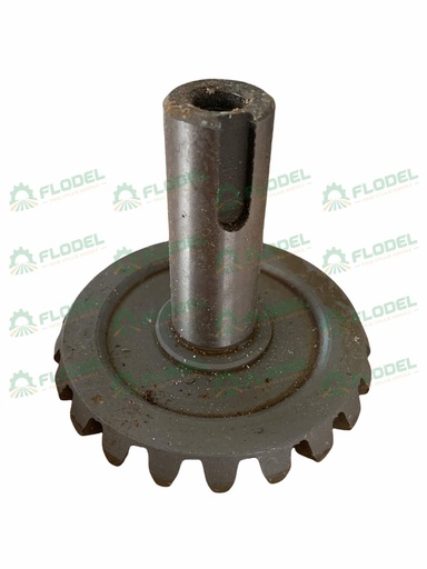 [FLO03343] Pinion Z21 culegator porumb FANTINI