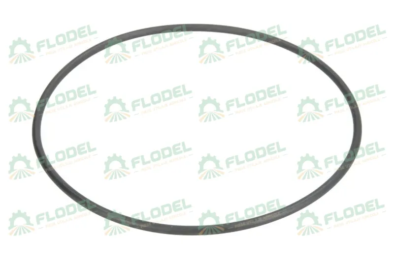 [FLO03381] Oring cutie de viteza 110mm