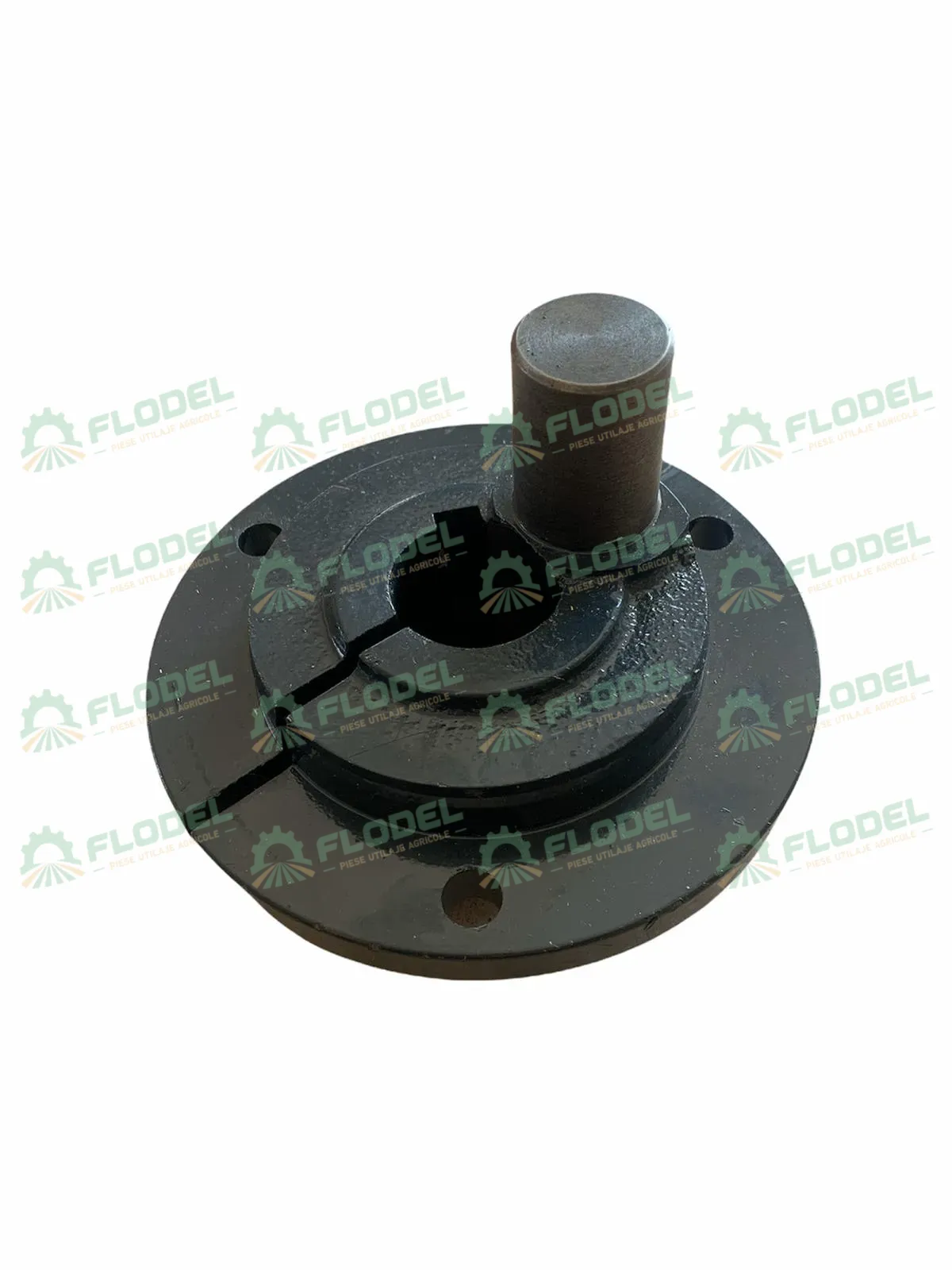 [FLO03401] Excentric CLAAS 600791 [STANGA]