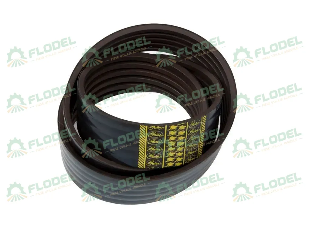 [FLO03406] Curea combina CLAAS 5HB 667453 GATES