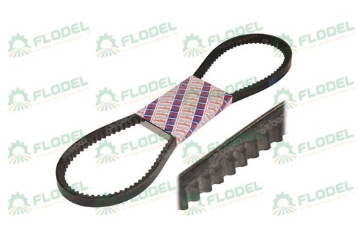 [FLO03490] Curea 10x1150 LA