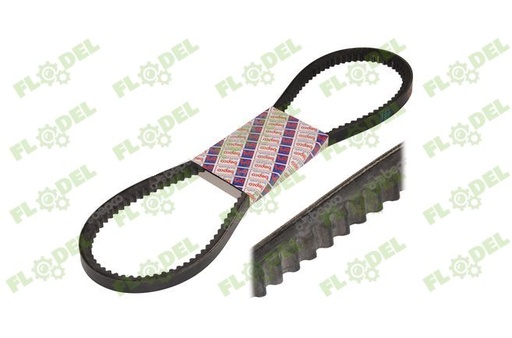 [FLO03490] Curea 10x1150 LA