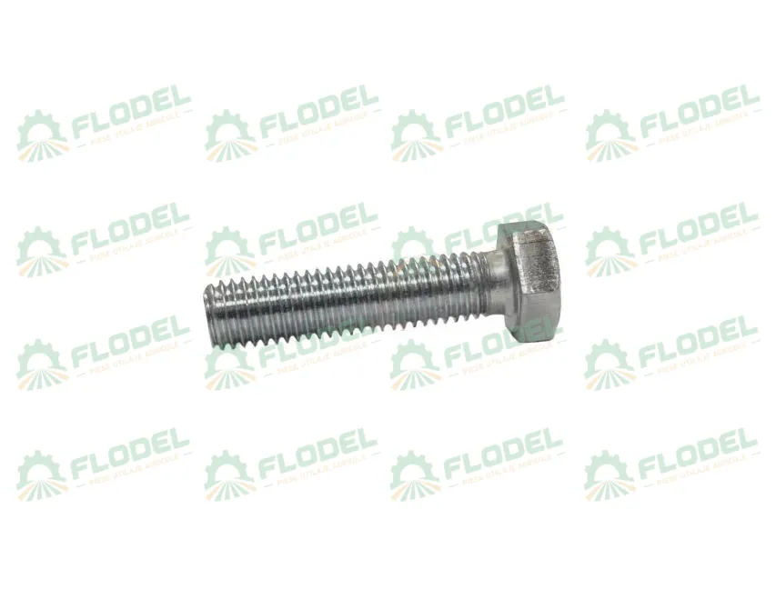 [FLO03729] Surub M10x30