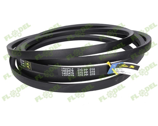 [FLO03752] Curea combina CLAAS 061902 GATES