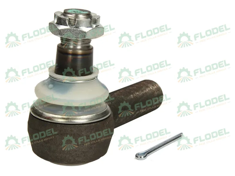 [FLO03859] Capat bara FE02953