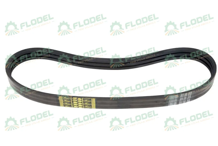 [FLO03860] Curea CLAAS 603247 [3HB] GATES