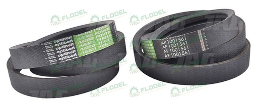 [FLO03877] Curea combina CLAAS  544049 [2HB] GATES