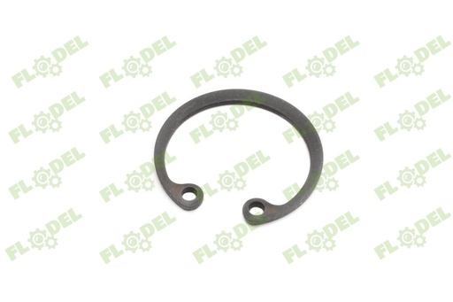 [FLO04018] Siguranta 55x2mm