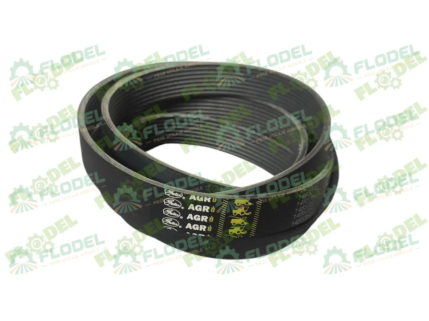 [FLO04033] Curea combina CLAAS LEXION 796450 GATES [8PK]