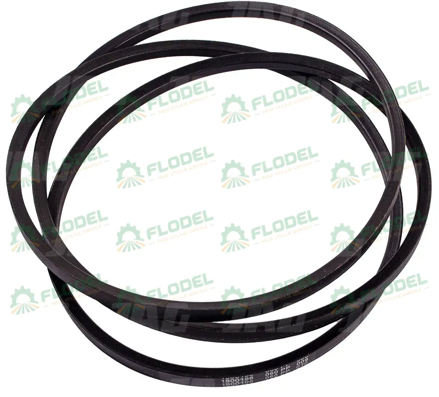 [FLO04053] Curea 340433181