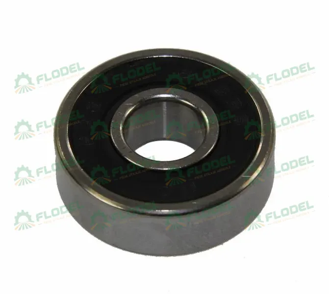 [FLO04065] Rulment 62303 2RS SKF