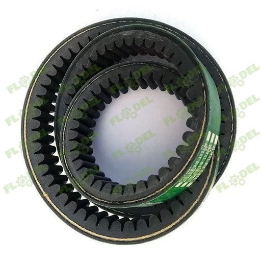 [FLO04087] Curea combina CLAAS 544166 GATES