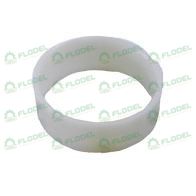 [FLO04181] Bucsa Geringhoff