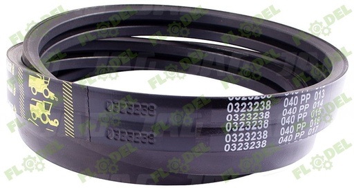 [FLO04189] Curea Gates 0123239