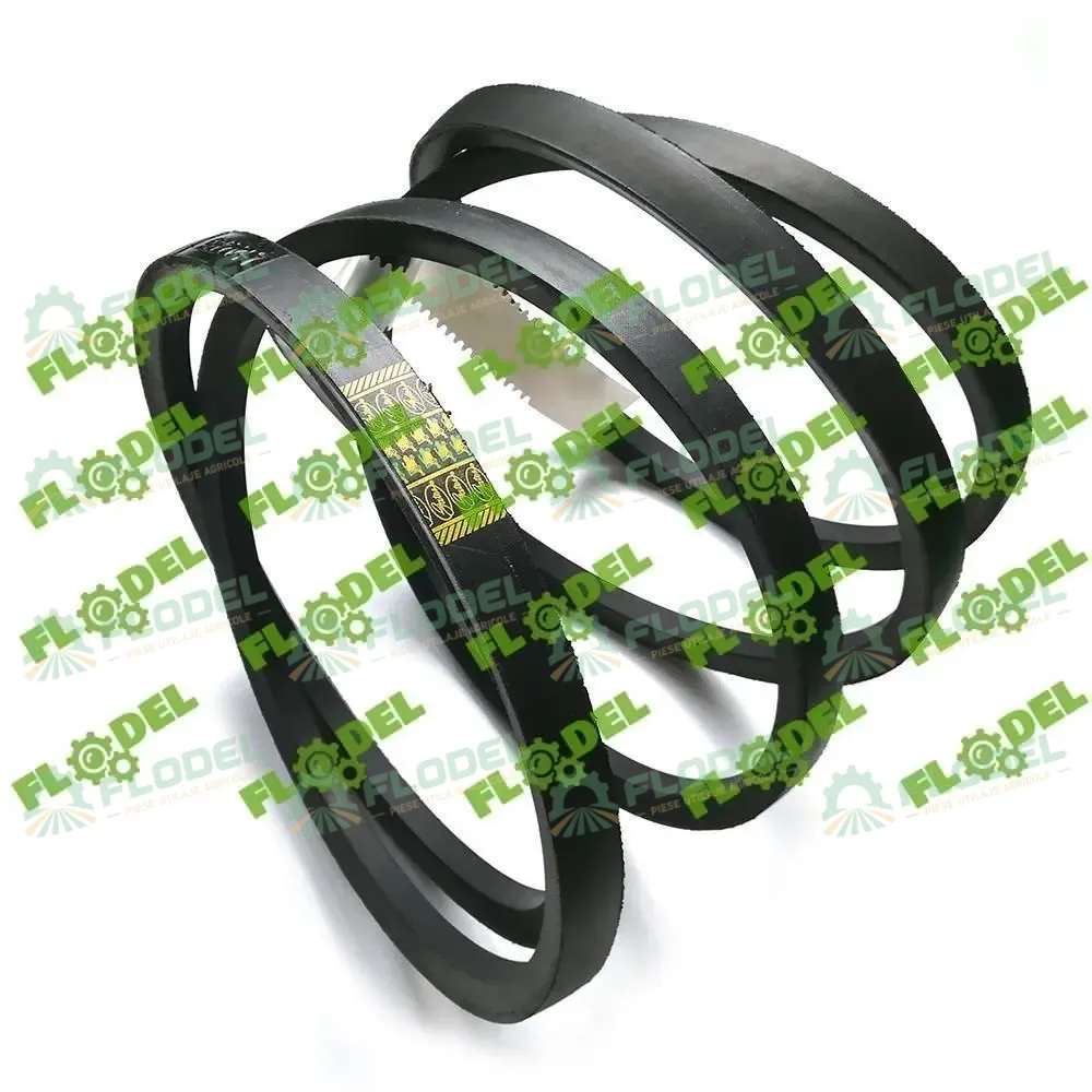 [FLO04213] Curea combina CLAAS 061701 GATES