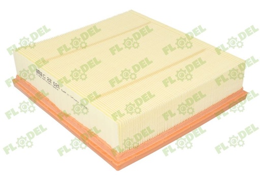 [FLO04263] Filtru aer C 22 020 MANN