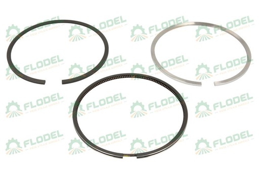 [FLO04293] Segmenti piston