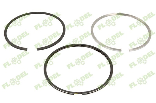 [FLO04293] Segmenti piston