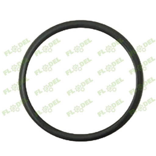 [FLO04387] Oring CNH
