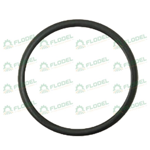 [FLO04387] Oring CNH