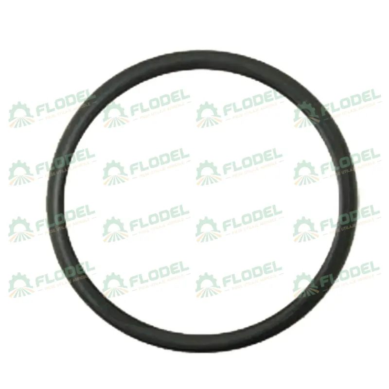 [FLO04387] Oring CNH