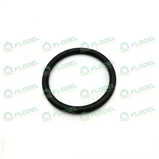 [FLO04391] O ring CNH