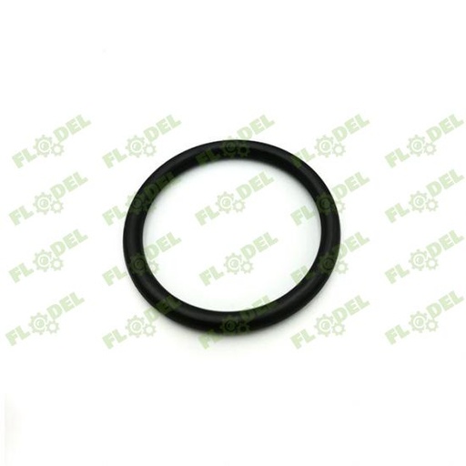 [FLO04393] Oring CNH