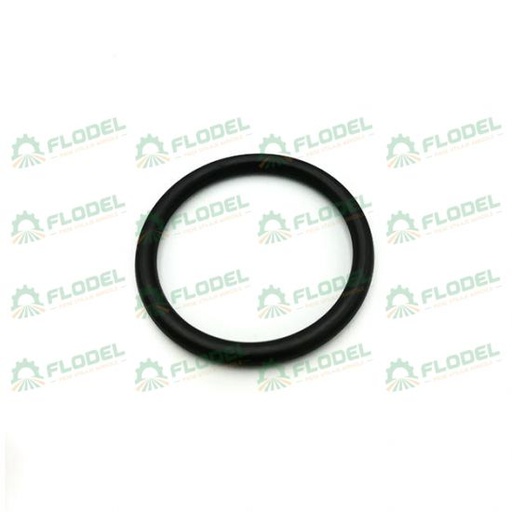 [FLO04396] Oring CNH