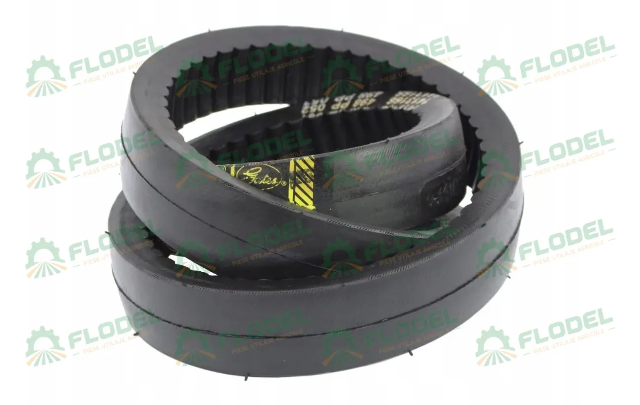 [FLO04508] Curea combina CLAAS 603015 GATES