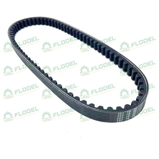 [FLO04525] Curea 628847 Gates Danturata