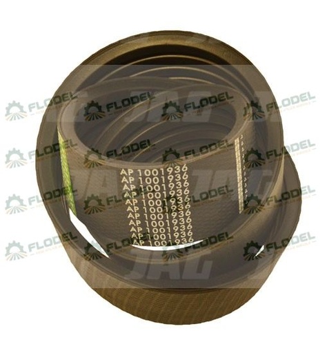 [FLO04980] Curea combina CLAAS [4HB]  629279 GATES