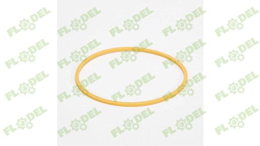[FLO05093] Inel etansare ambreiaj tractor agricol CASE IH A158051
