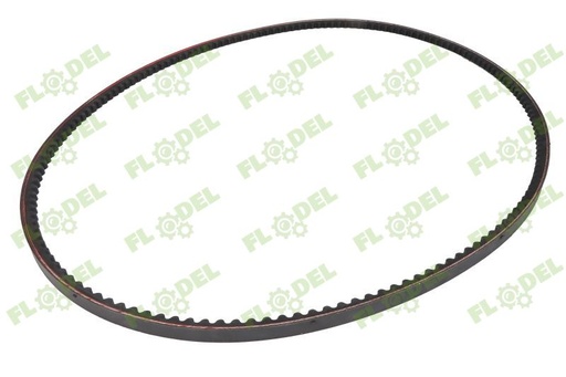 [FLO05155] Curea XPB 2020 Optibelt