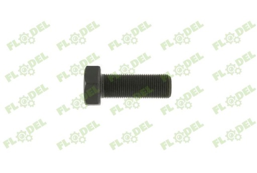 [FLO05189] Surub M6x16mm