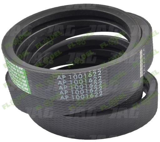 [FLO05516] Curea GATES 554098