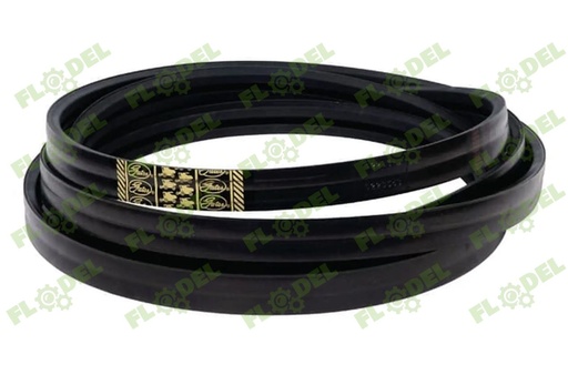 [FLO05582] Curea combina CLAAS 554017 GATES